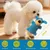 ZooVenture Jouet Chien Jaune Bleu 2P Son