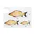 ZooVenture Jouet Chat Souple - Noël, Hypoallergénique, Portable