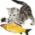 ZooVenture Jouet Chat Souple - Noël, Hypoallergénique, Portable