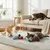 ZooVenture Lot 4 Jouets Chat Bouteille Biere
