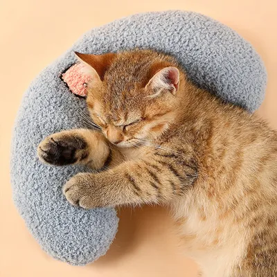 ZooVenture Coussin Peluche Chat Chien - 27x17x6cm, Doux