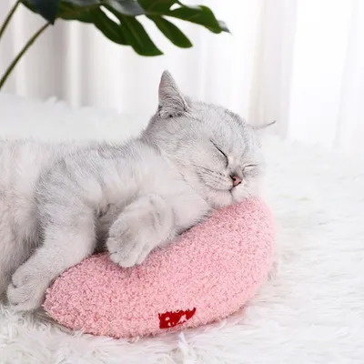 PetTribes Oreiller en U pour Chat Forme Demi-Donut