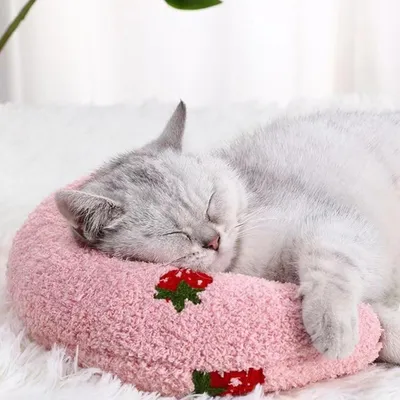 PetTribes Oreiller en U pour Chat Forme Demi-Donut