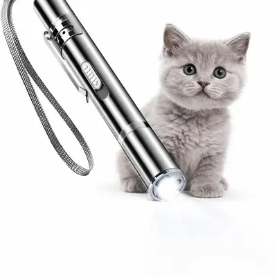 MCBOSON Rechargeable USB Stylo Compact Pointeur Lumineux Jouet Chat
