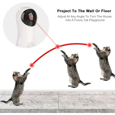 Zoomtopia Jouet laser automatique pour chat trajectoire aléatoire