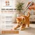 MCBOSON Stylo jouet 7en1 USB rechargeable chien chat