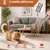 MCBOSON Stylo jouet 7en1 USB rechargeable chien chat