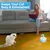 MCBOSON jouet laser auto-stimulant bleu pour chats
