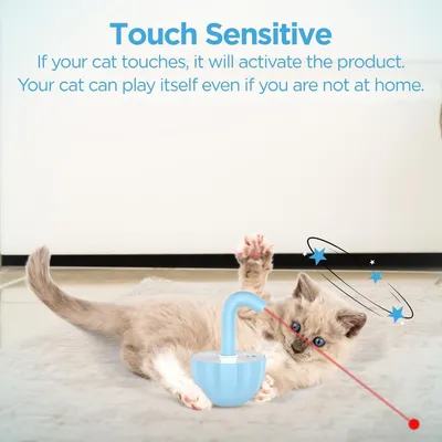 MCBOSON jouet laser auto-stimulant bleu pour chats