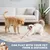 PetTribes Jouet Laser Chat, 3 Modes 5 Motifs, Rechargeable USB