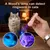 PetTribes Jouet Interactif Chat Poursuite Laser Portable