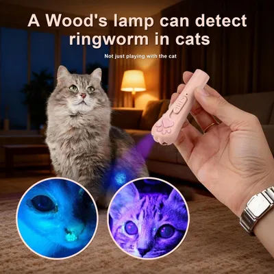 PetTribes Jouet Interactif Chat Poursuite Laser Portable