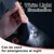 PetTribes Jouet Interactif Chat Poursuite Laser Portable