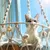 FurryFusion Hamac pour chat FurryFusion Hamac pour chat