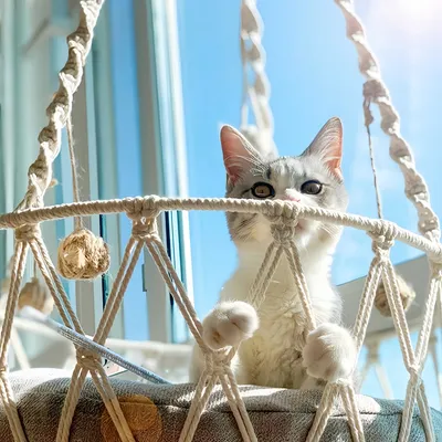 FurryFusion Hamac pour chat FurryFusion Hamac pour chat