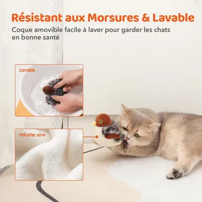 MCBOSON Détecteur mouvement herbe à chat jouet chat moineau