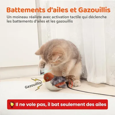 MCBOSON Détecteur mouvement herbe à chat jouet chat moineau