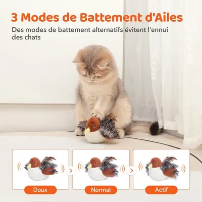 MCBOSON Détecteur mouvement herbe à chat jouet chat moineau