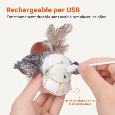 MCBOSON Détecteur mouvement herbe à chat jouet chat moineau