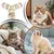 Tunnel pour Chat PetTribes - Pliable, Portable 25.59 pouces