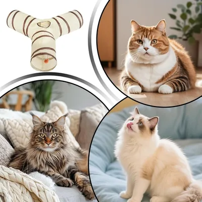 Tunnel pour Chat PetTribes - Pliable, Portable 25.59 pouces