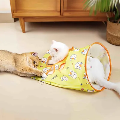 FurryFusion Sac à explorer pour chat