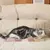 FurryFusion Grands griffes pour chat en carton ondulé double - face FurryFusion Grands griffes pour chat en carton ondulé double - face