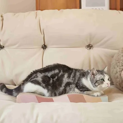 FurryFusion Grands griffes pour chat en carton ondulé double - face FurryFusion Grands griffes pour chat en carton ondulé double - face