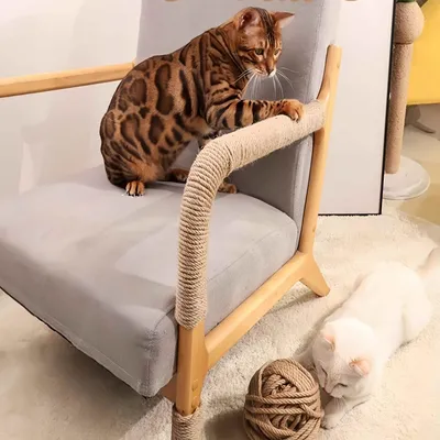 FurryFusion Corde de jute de rechange pour griffoir pour chat FurryFusion Corde de jute de rechange pour griffoir pour chat