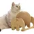 FurryFusion Jouet de griffage pour chat en forme d'éléphant FurryFusion Jouet de griffage pour chat en forme d'éléphant