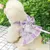 FurryFusion Hundegeschirr/Kleid (mit Leine)