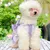 FurryFusion Hundegeschirr/Kleid (mit Leine)