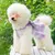 FurryFusion Hundegeschirr/Kleid (mit Leine)