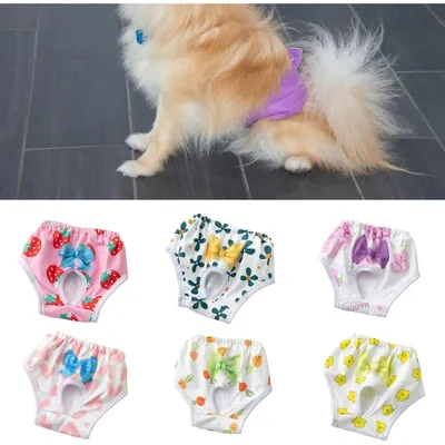 Zoomtopia Culotte menstruelle taille L motifs colorés lot 2 Zoomtopia Culotte menstruelle taille L motifs colorés lot 2