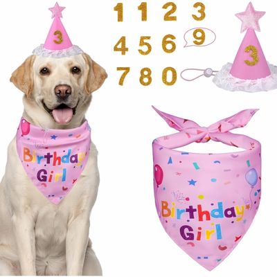 FurryFusion Décoration d'anniversaire pour chien avec chapeau numéroté