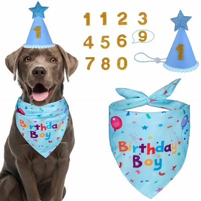 FurryFusion Décoration d'anniversaire pour chien avec chapeau numéroté