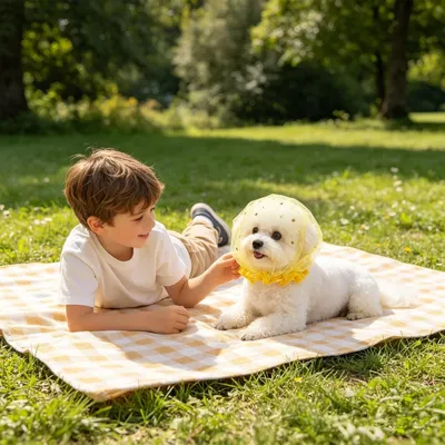 FurryFusion Atmungsaktiver Hundemaulschutz