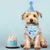 PetTribes Hunde-Geburtstagsdekoration mit nummeriertem Hut PetTribes Hunde-Geburtstagsdekoration mit nummeriertem Hut