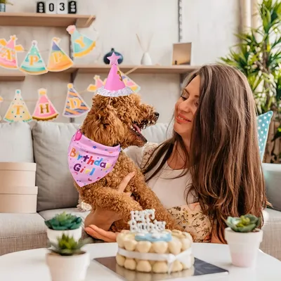 PetTribes Hunde-Geburtstagsdekoration mit nummeriertem Hut PetTribes Hunde-Geburtstagsdekoration mit nummeriertem Hut