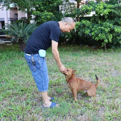 FurryFusion Silikon-Trainingstasche für Hunde