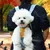 FurryFusion Hunde- und Katzenrucksack