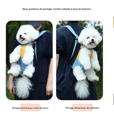 FurryFusion Hunde- und Katzenrucksack