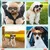 ZooVenture Hunde Sonnenbrille Herzform - UV-Schutz, Winddicht ZooVenture Hunde Sonnenbrille Herzform - UV-Schutz, Winddicht