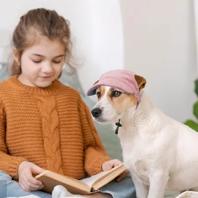 HausPets Verstellbare Hunde Baseball Kappe Sonnenschutz Rosa M HausPets Verstellbare Hunde Baseball Kappe Sonnenschutz Rosa M