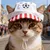Baseballkappe bestickt Hund Katze, verstellbarer Sonnenschutz. Baseballkappe bestickt Hund Katze, verstellbarer Sonnenschutz.