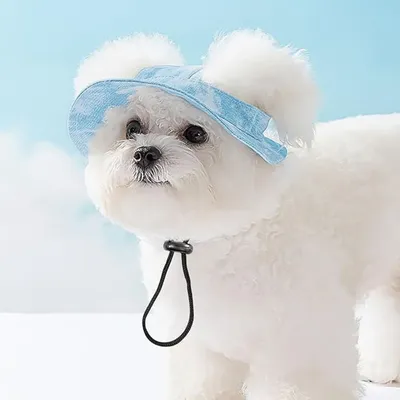 FurryFusion Angelhut für Hunde und Katzen