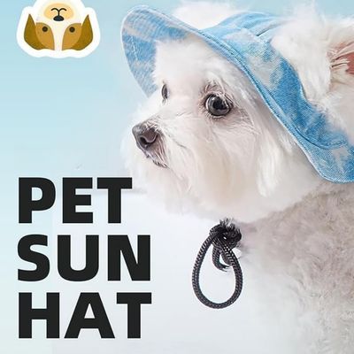 FurryFusion Chapeau de pêche pour chiens et chats