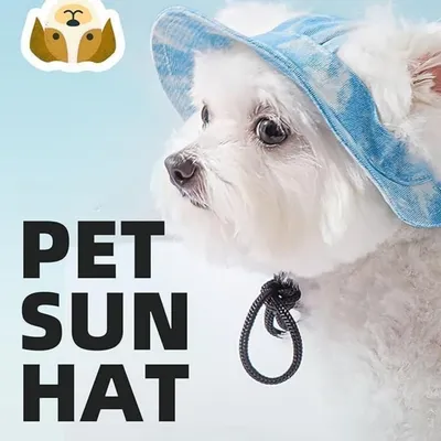 FurryFusion Angelhut für Hunde und Katzen