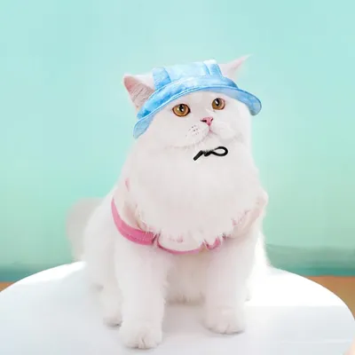 FurryFusion Angelhut für Hunde und Katzen
