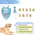 ZooVenture Hunde-Geburtstagsset – Hut + Halstuch
